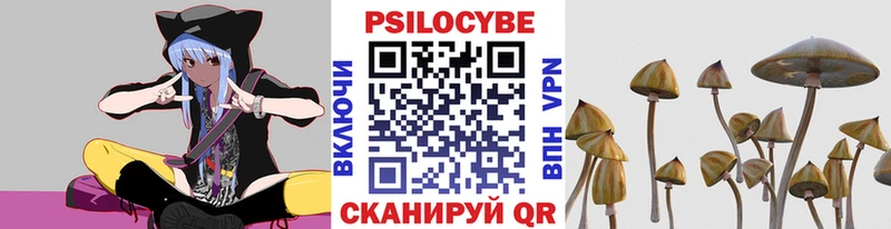 Галлюциногенные грибы мицелий Демидов